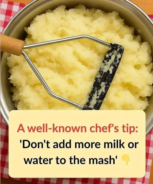 creamy mashed potatoes