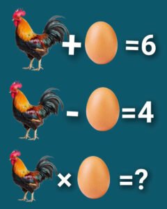 Rooster and Egg Math Puzzle