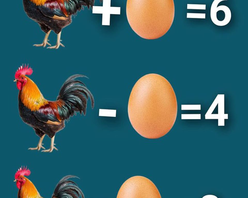 Rooster and Egg Math Puzzle