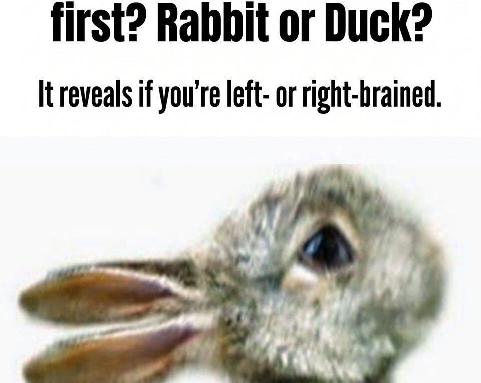 rabbit or duck optical illusion personality test