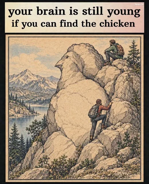 hidden chicken optical illusion with answer