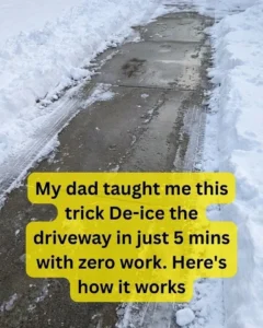 Stop Icy Steps