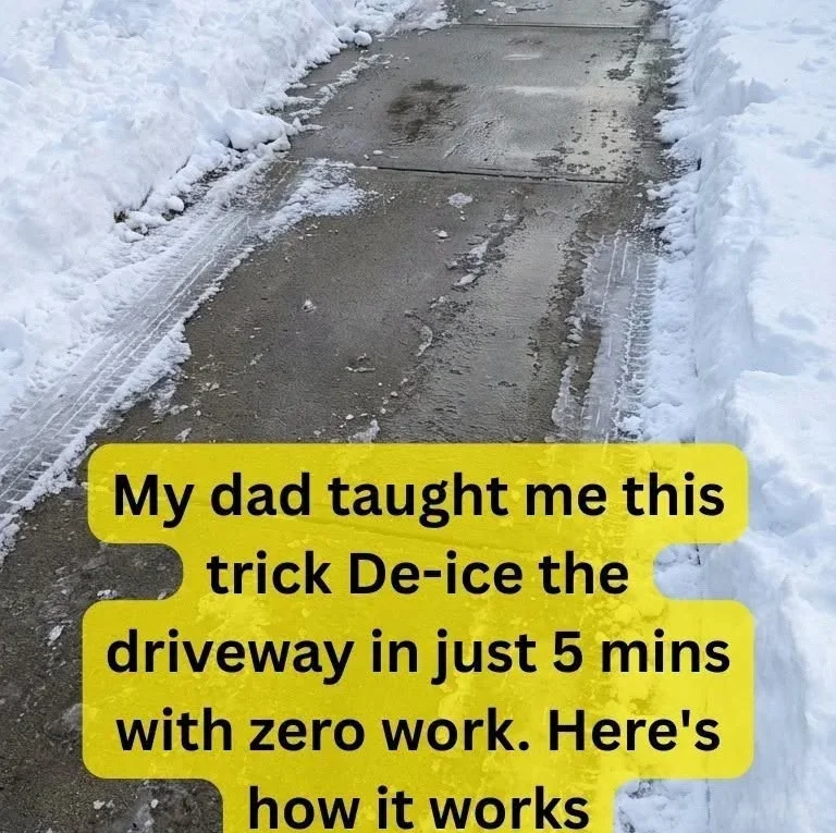 Stop Icy Steps